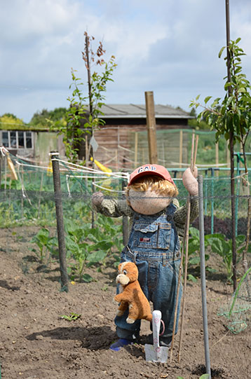 Holt Allotments