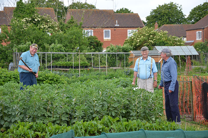Holt Allotments