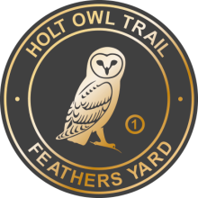 The Holt Owl Trail